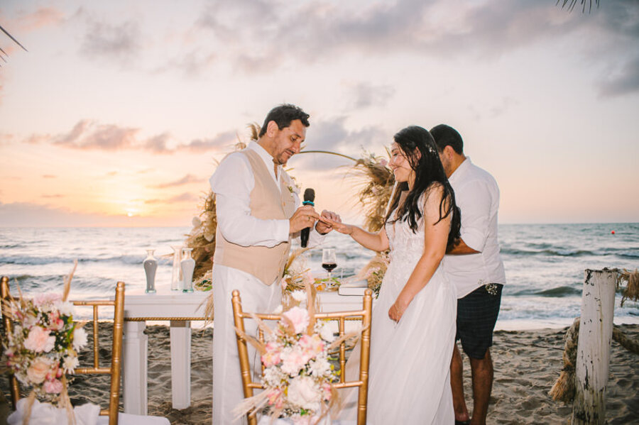 Descripción de la imagen 77